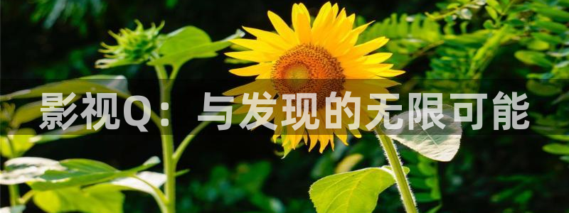 老湿影视在线观看：影视Q：与发现的无限可能