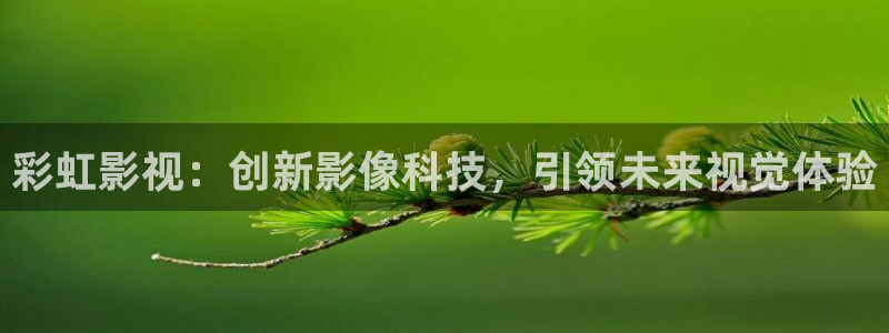 老湿影院十八禁：彩虹影视：创新影像科技，引领未来视觉体验