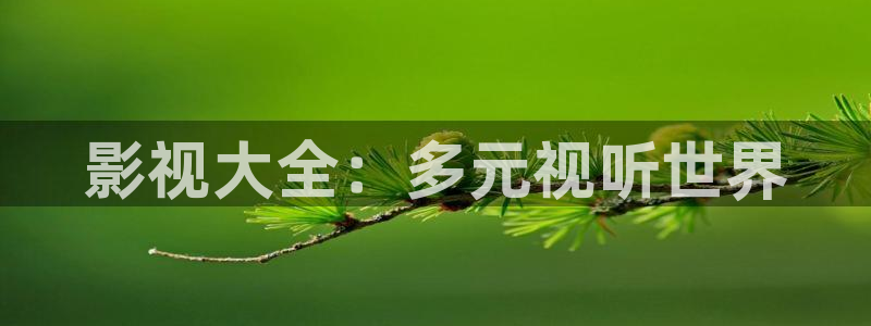 老湿影院免费：影视大全：多元视听世界