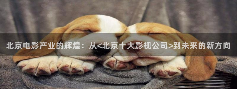 老湿影视在线播放