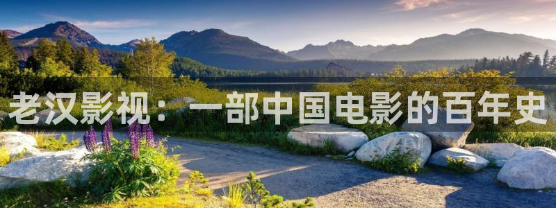 老湿人影院