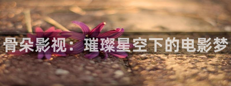 老湿影视十分钟看体验区